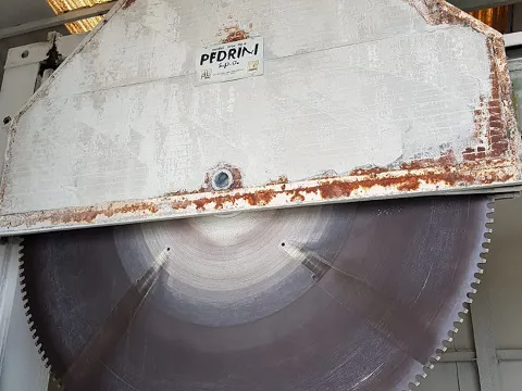 Segatrice a discone Pedrini