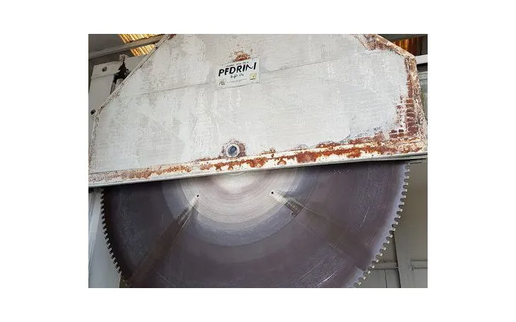 Segatrice a discone Pedrini