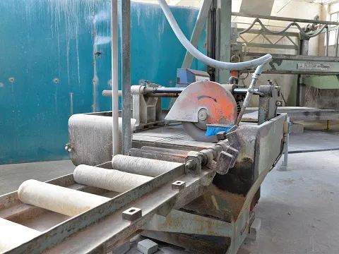 Cross cutter single disc Pedrini