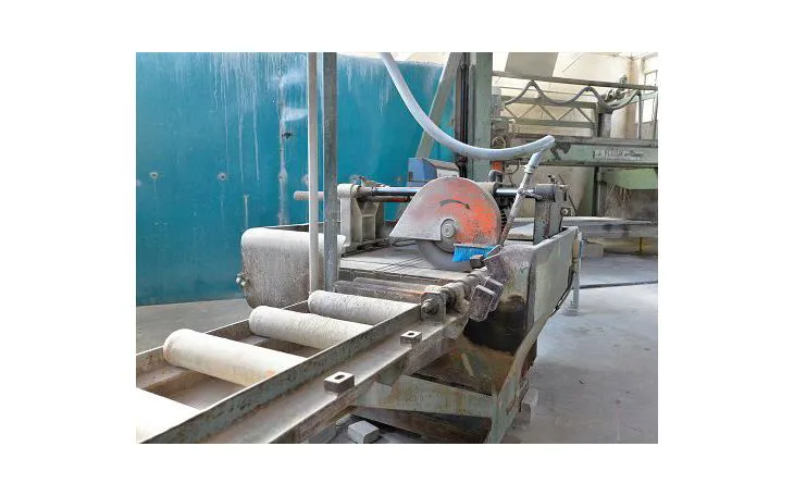 Cross cutter single disc Pedrini